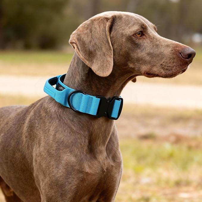 Tactical Thick Dog Collar, Adjustable Training Nylon Dog Collar, Heavy Duty Metal Buckle & Control Handle for Small Medium Large Dogs (L, Blue)