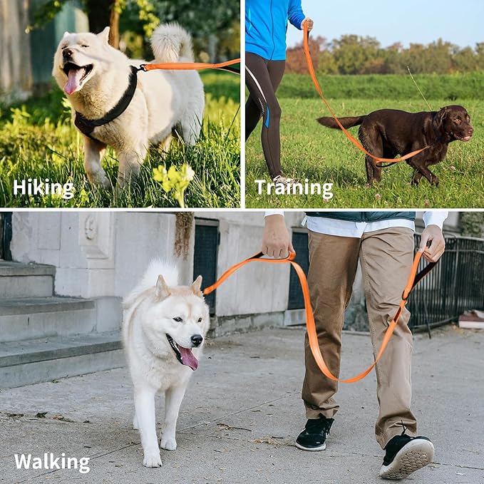 Heavy Duty Leash for Large Breed Dogs - Double Handle, Reflective Training Lead, Perfect for Medium to Large Dogs (6FT Orange)