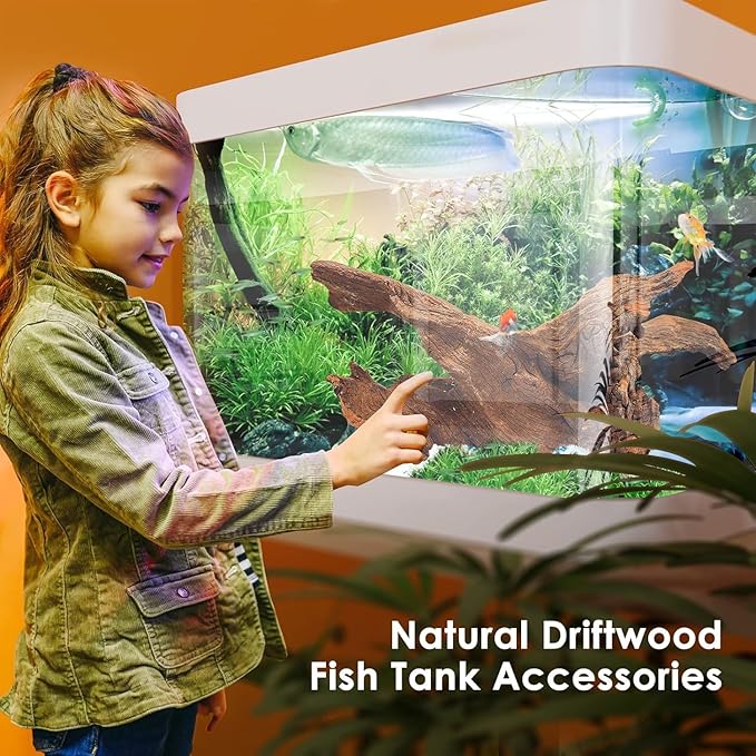 Jorewood Natural Large Aquarium Driftwood for Fish Tanks & Reptile Terrariums – 100% Safe Fish Tank Decorations, 2-Piece 10-14 Inch Unique Twisted Branches Low Tannin, Easy to Sink