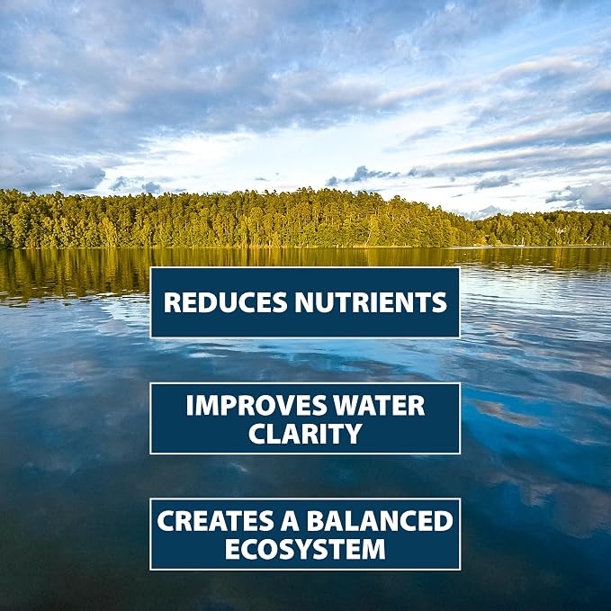Airmax PondClear Packets Beneficial Bacteria Pond Clarifier, 12-Count | Enzyme Clarifier with EcoBoost PRx to help clear and clean pond and lake water while remaining safe for fish