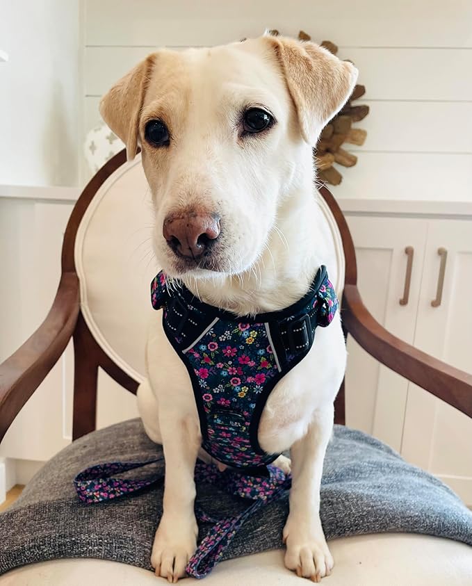 Lucky Love Dog No Pull Dog Harness, Adjustable and Easy to Walk, Cute Patterned Harness for SmallMale & Female Dogs - Primrose, Small
