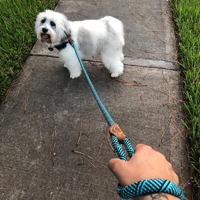 Mile High Life Rope Leash with Genuine Leather Connection, 6 FT/5 FT/4 FT, Heavy Duty Leash for Medium & Large Dogs (Turquoise Green, 48 Inch)