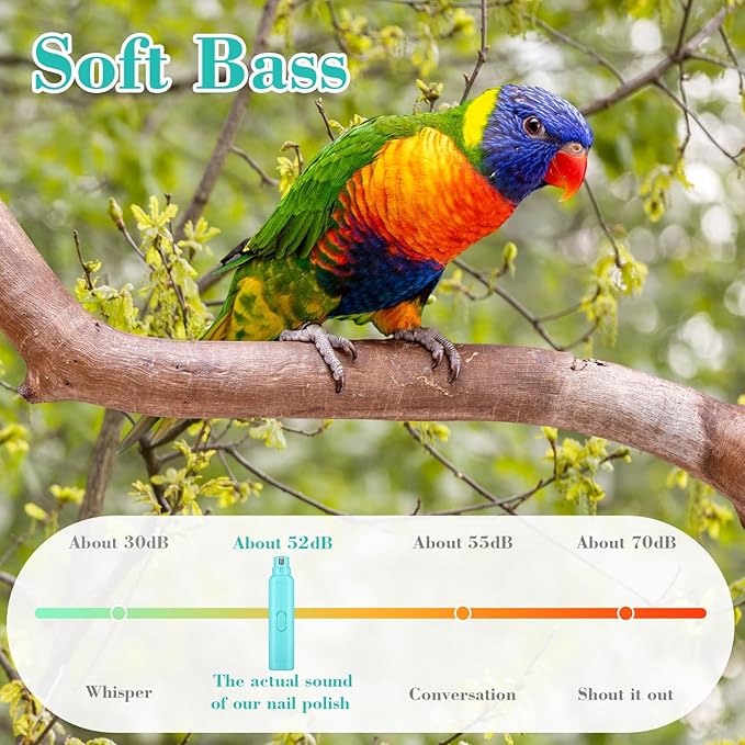 Lasnten 2 Pcs Bird Nail Grinder with Clipper Bird Nail Trimmer File Pet Grooming Tool for Parrot Budgerigars Parakeets Myna Conure Finches Lovebirds (Cyan Blue)