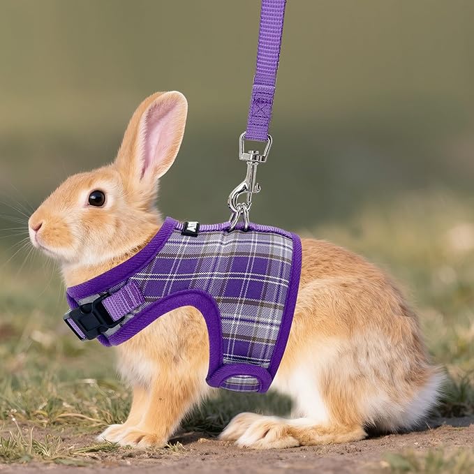 AIITLE Breathable Rabbit Harness and Leash Set - Plaid Pattern Padded Vest with Magic Tape Design, Dual D-Rings, Adjustable for Small Animal Pets, Indoor Outdoor Training Camping, Purple M