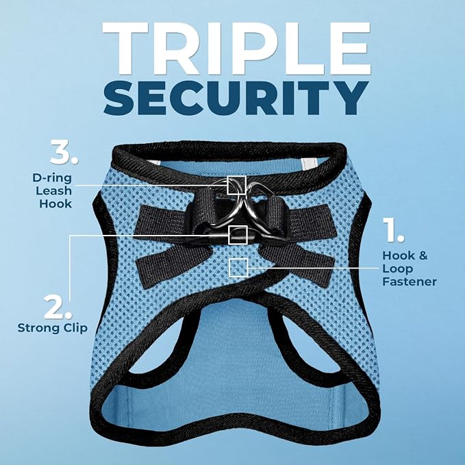 Best Pet Supplies Voyager Step-in Air All Weather Mesh Harness and Reflective Dog 5ft Leash Combo with Neoprene Handle, for Small, Medium and Large Breed Puppies - Baby Blue/Black Trim, X-Large