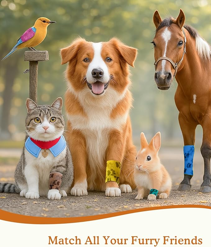 2 Inch Self Adhesive Bandage Vet, First Aid for Dogs Cats Horses, Great for Paws, Legs & Tails, Individually Wrapped, 8 Rolls, Daybreak Paw