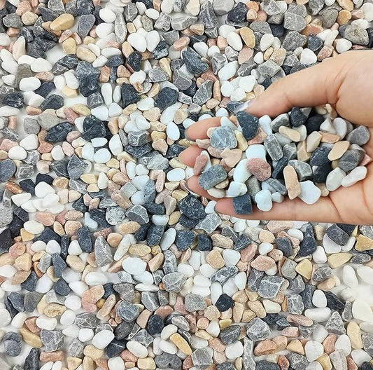 FANTIAN 5 lbs Succulent and Cactus Pebbles for Indoor Plants, 3/8 Inch Pea Gravel Decorative River Rocks for Plants, Vases, Terrarium, Aquarium, Potted Top Dressing and Outdoor Landscaping Stones