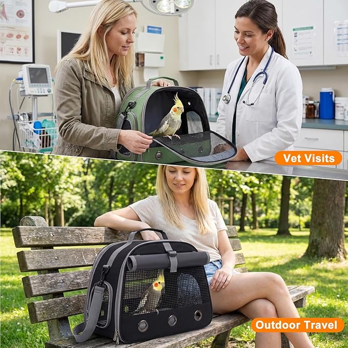 Bird Carrier, Lightweight Breathable Bird Backpack, Portable Wild Bird Carrier with Standing Perch for Parrot Travel Vet Visit (Green)