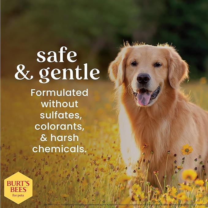 Burt’s Bees for Pets Deodorizing Wipes with Witch Hazel - 95% Natural Origin Odor Control Wipes, Gentle Deodorizing Formula That Refreshes Dog Coat, Daily Use, 50 Count