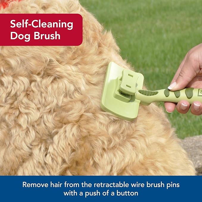 Coastal Pet Safari Dog Self-Cleaning Slicker Brush - Dog Deshedding Brush - Prevents Mats and Tangled Hair - For Dogs with Short or Long Hair - Large - 8" x 4.5"