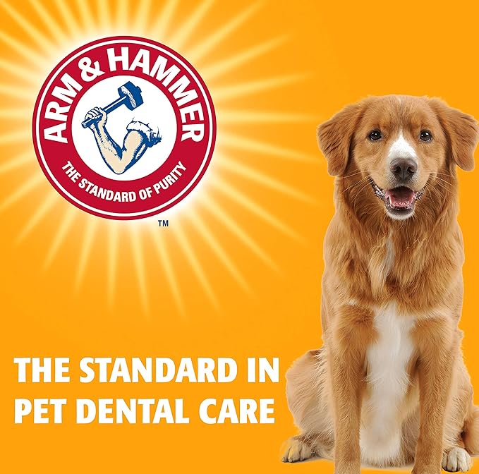 Arm & Hammer for Pets Fresh Breath Enzymatic Dog Toothpaste, Vanilla Ginger Flavor, Safe for Puppies and Adult Dogs, Daily Baking Soda Dental Gel to Eliminate Bad Breath, 2.5 Oz - 2 Pack