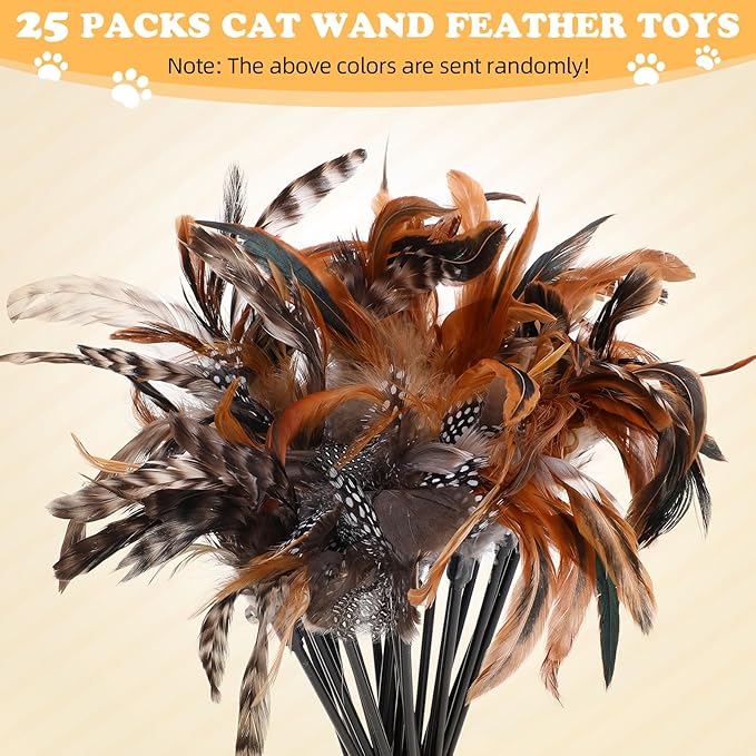 Leitee 25 Pcs Cat Wand Toy Feather Stick Cat Toy Bulk Feather Toys and Teaser Wand Bulk Interactive Stick for Indoor (Classical Color)