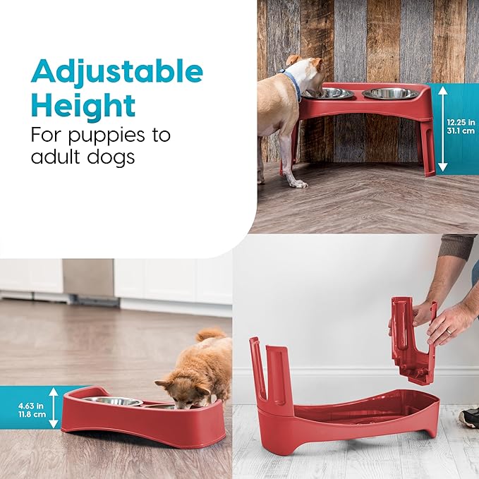 IRIS USA Elevated Dog Bowls Adjustable Stand, Raised Feeding Station with 2 Stainless Steel 64 oz Bowls, Spill Guard, Dual Height 12.25" or 4.63", Made in USA, Red