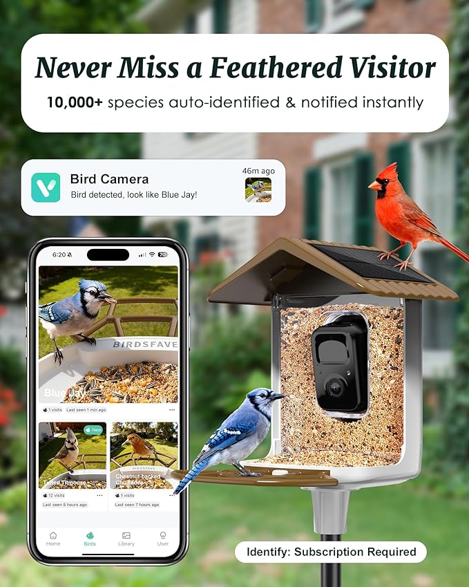 Bird Feeder with Camera Solar Powered, 2K Live Arrival Alert Auto Capture Video with 32GB TF Card, AI Identify Smart Camera Bird Feeder Ourdoor Backyard Gift for Mom Dad Birdlover, 2.4G WiFi