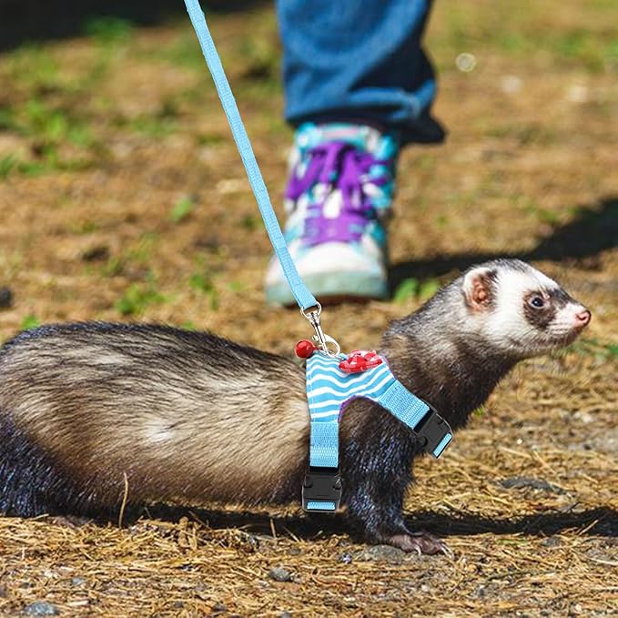 Small Pet Harness Vest and Leash Set with Bowknot and Bell Decor for Gerbil Guinea Pig Squirrel Kitten Outdoor Walking (M, Blue Stripe)