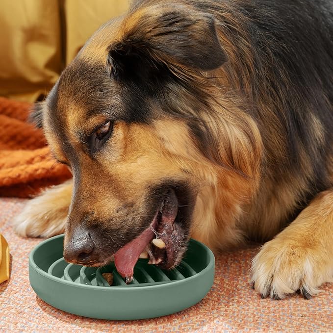 Should We Go? Slow Feeder for Dogs & Puppies, The Slowdown Bowl Silicone Slow Eating, Modern Lick Mat Design, Reduces Gulping, Fits 2 Cups, 7.5” Across x 1.5” Tall, Mealtime Challenge, Medium-Spruce