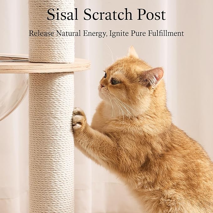 797Audio Modern Solid Wood Cat Tree Tower, 49" Tall Cat Tree with Sisal Scratching Posts and Capsule for Adult Cats, Natural Oak Wooden Cat Tower,Aesthetic Multi-Level Cat Climbing Tree for Indoor Cat