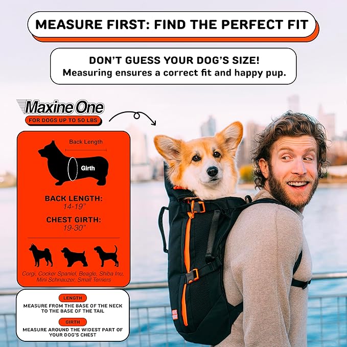 Maxine One Dog Backpack Carrier for Medium Dogs by Little Chonk | Adjustable & Ergonomic Front Facing Dog Carrier Backpack | Pet Backpack Carrier Featured in Wired Magazine - Light Gray