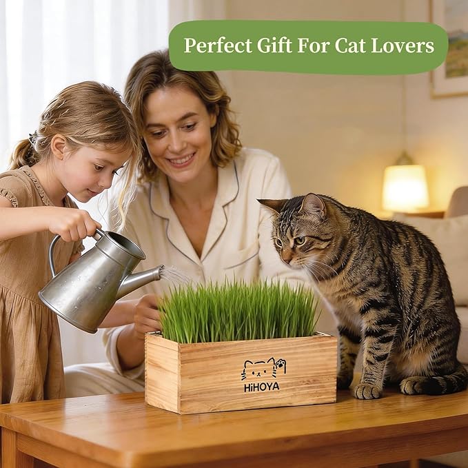 Cat Grass Kit for Indoor Cats - 5 Harvests Wheatgrass Growing Kit with Wooden Planter, Includes 6 Soil Disks, Spray Bottle, Tools & Scissors - Natural Hairball Control for Nipping & Nibbling
