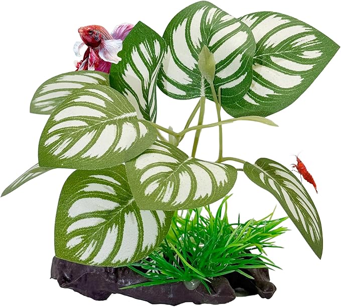 CTWPets Betta Driftwood Decor – Soft Silk Aquarium Plant for Betta Fish, Shrimp, and Tropical Tanks – Safe, Vibrant Aquascape Decoration (Split Leaf)