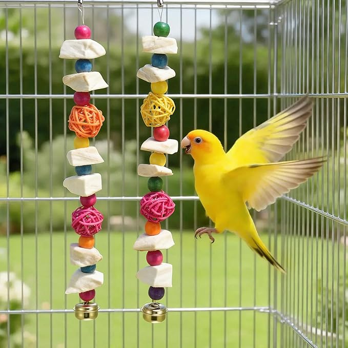 Bird Toys with Cuttlebone, Prevents Destructive Chewing, Grinding Stone for Bird, White, Colorful, 2 Pcs