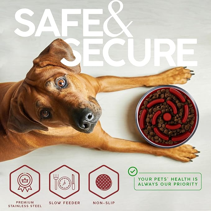 FAHRMOSIS 32 Oz Dog Bowl with Slow Feeder Insert Stainless Steel Pet Water Bowl for Medium & Large Breed Non Slip Rubber Base & Plastic Puzzle Feeder - Red