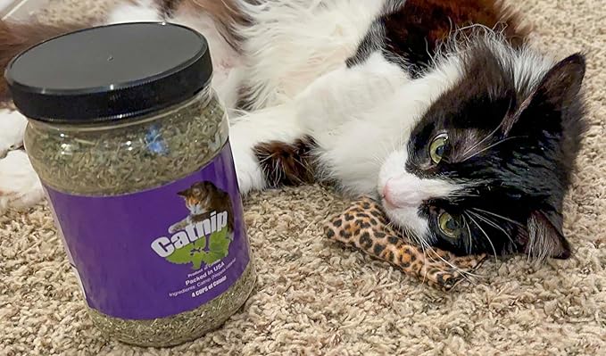 Catnip Blend - North American Crafted, 100% Natural, and Non-Addictive Catnip Treats for Enhanced Playfulness. Ideal for Complementing Catnip Toys (4 Cups) (32 oz)