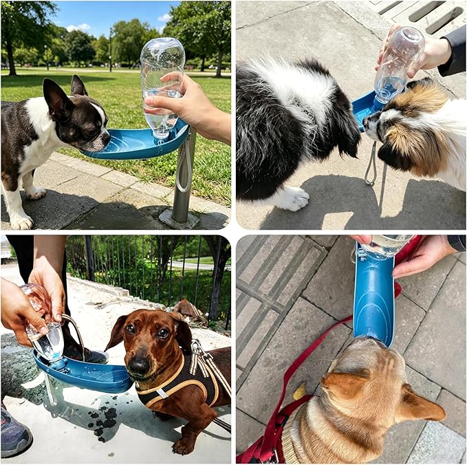 Dog Water Bottle, 550ML Large Capacity Leak-Proof Portable Pet Water Dispenser with Carrying Lanyard, Ideal for Outdoor Walking Hiking Travel