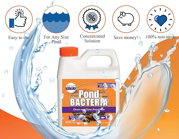 Pond Worx Pond Bacteria - Concentrated & Formulated for Large Ponds, Water Features - Safe for Koi - 32 Ounces & Treats up to a Quarter Acre Pond