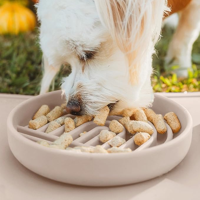 Should We Go? Slow Feeder for Dogs, The Slowdown Bowl Silicone Slow Eating Mealtime Solution with Modern Lick Mat Design, Reduces Gulping, Fits 1 Cup, 6” Across x 1.25” Tall, Small-Tan