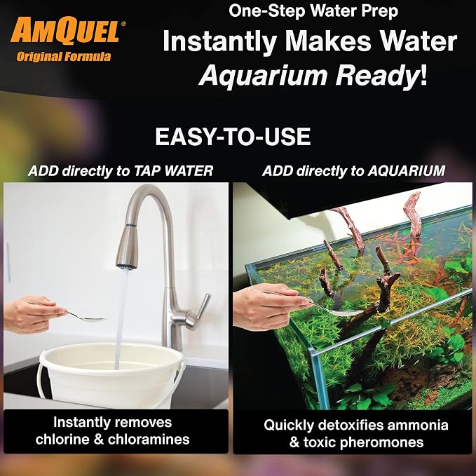 KORDON #31248 AmQuel Ammonia Control and Detoxifies Chloramine for Aquarium, 8-Ounce