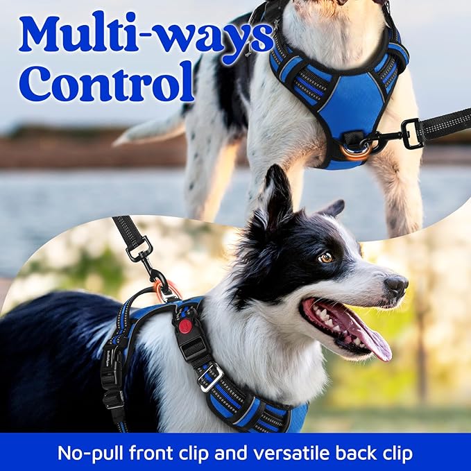 rabbitgoo Dog Harness Small Sized, No Pull Dog Vest with 3 Buckles, Adjustable Soft Padded Pet Harness with Easy Control Handle and Reflective Strips, Royal Blue, S