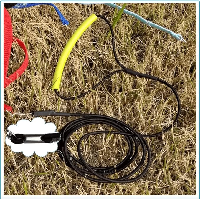 Bird Harness Leash Adjustable Outdoor Training Flying Harness Traction Rope with Cute Wing for Parrots Pigeons Budgerigar Lovebird Cockatiel Mynah (S,Purple)