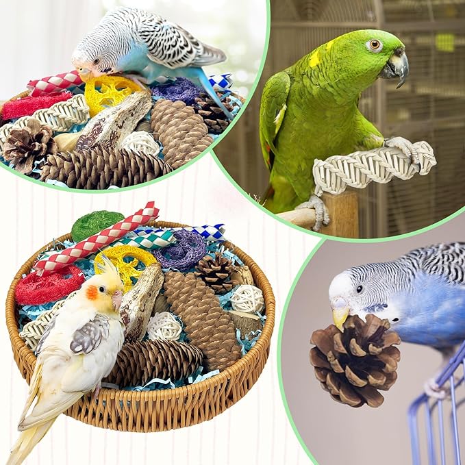 BNOSDM Rattan Bird Foraging Box 19 Pcs Natural Parrot Shredding Toys Boxes Colorful Bird Chewing Toy for Cockatiel Budgie Parakeet Conure Lovebird African Grey