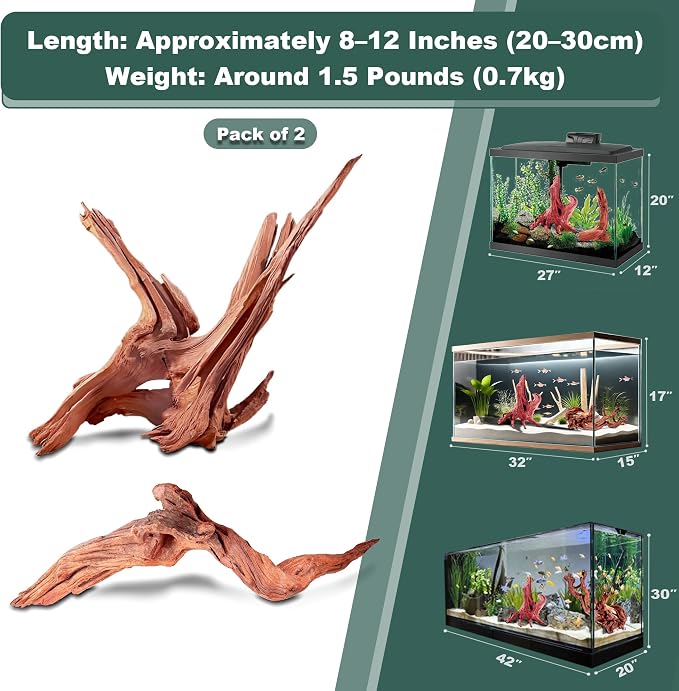Natural Wood Driftwood for Aquarium Fish Tank Decor,Assorted Driftwood Trunk Branch for Reptile Tank Decor (MOP-ZYM Driftwood+Branch (8 to12 Inch)-Pack of 2)