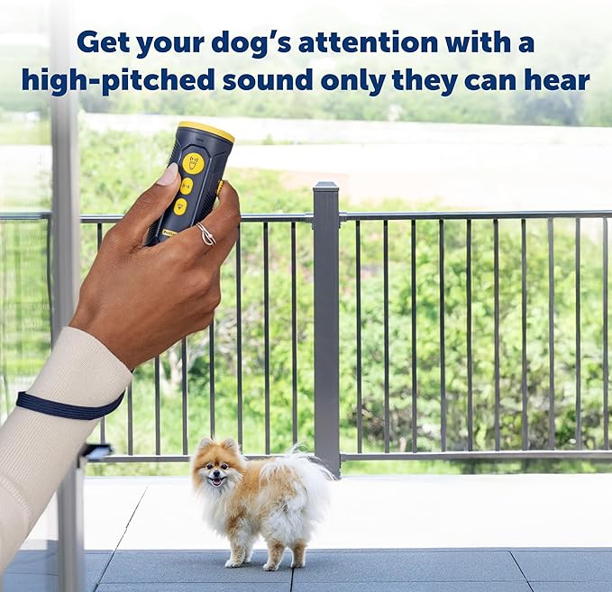 PetSafe Collarless Trainer Ultrasonic Bark Deterrent Handheld Anti Bark Device High-pitched Sound, Flashing Light and Variable Tone Rechargeable Battery Flashlight Wrist Strap
