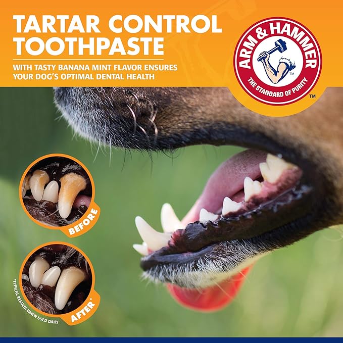 Arm & Hammer for Pets Tartar Control Dog Dental Care Kit, Banana Mint Flavor Toothpaste with Baking Soda, Double-Sided Toothbrush and Finger Brush Included, 2.5 Oz, 3-Piece - 48 Pack