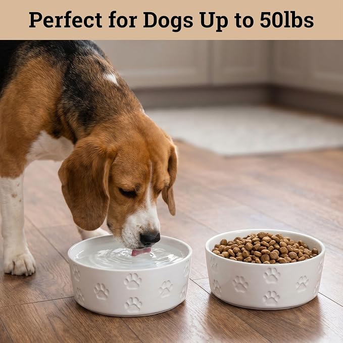 Ceramic Dog Bowl Set of 2 with Anti-Skid Base - 6.5" Wide x 2.5" Tall Ceramic Dog Bowls Medium Sized Dogs - 3.8 Cup Capacity Food and Water Bowls for Dogs - Rubber Bottom Pet Bowl Set of 2 Medium Size