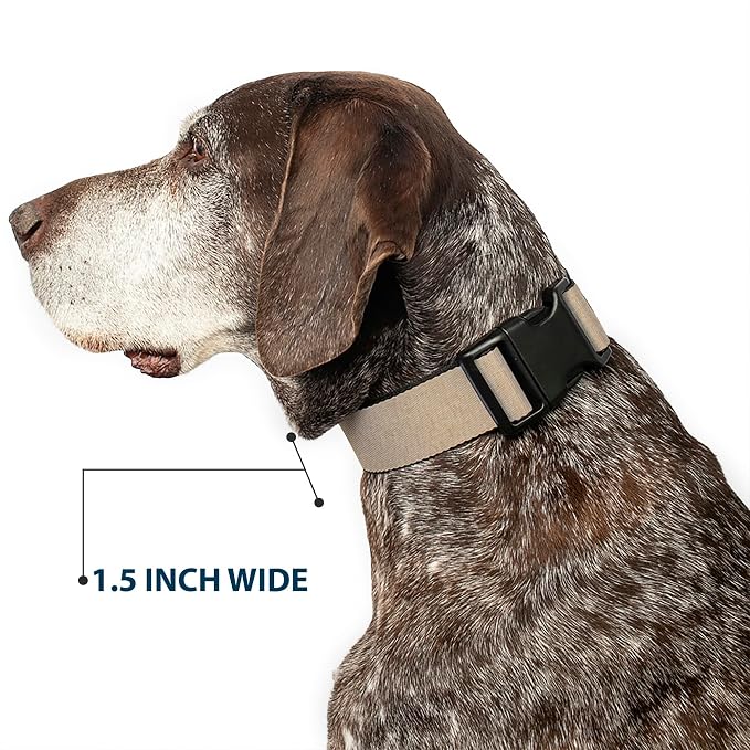 Buckle-Down Dog Collar Plastic Clip Natural Hemp 13 to 18 Inches 1.5 Inch Wide