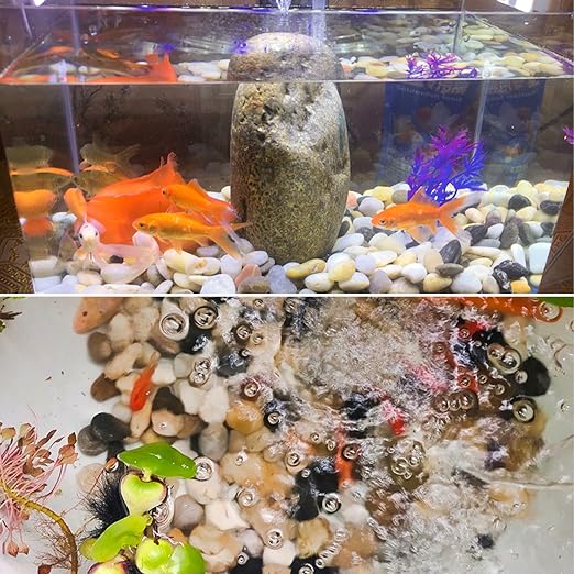 Pebbles for Indoor Plants 2.5 LB Small River Rocks 1"-1.5" Polished Decorative Stones Smooth Aquarium Gravel for Fish Tank Vases Planters Outdoor Landscaping Garden (40oz)