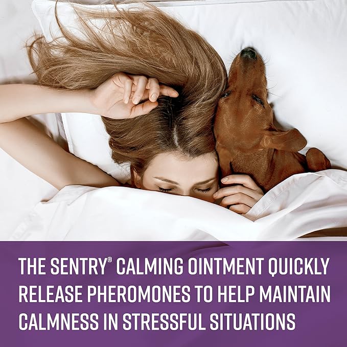 Sentry PET Care Sentry Calming Collar for Dogs, Anxiety Reducing Pheromone Collar, Releases Pheromones for 30 Days, Helps Calm During Loud Noises and Separation, 1 Count