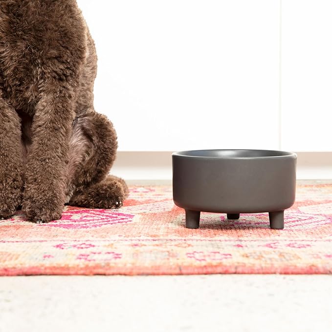 Waggo Uplift Ceramic Dog Bowl for Small Medium and Large Breeds - Set of 2 Heavyweight and Durable Pet Food and Water Dish Crock, Dishwasher Safe, Modern, Elevated Feeder (Black, Medium)