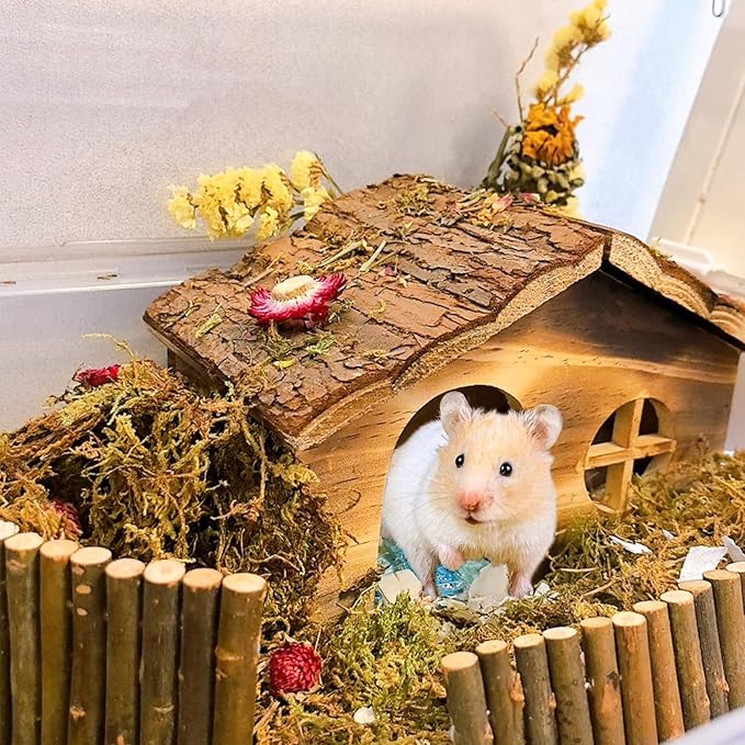 Hamiledyi Hamster Hideout Wooden Hamster House and Bridge with Windows Habitats Decor for Rat Gerbils Mice Playing Hiding