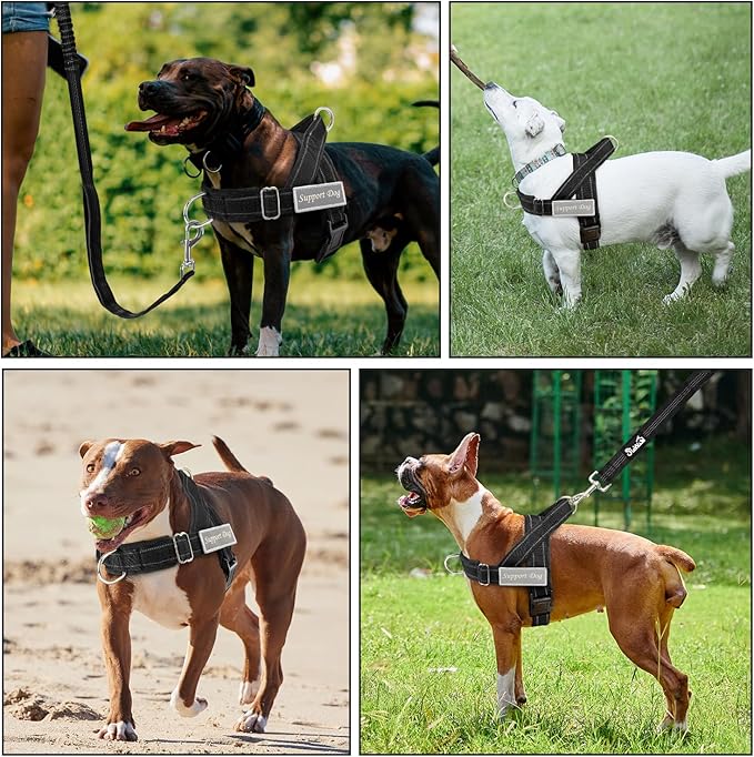 Lukovee No Pull Dog Harness & Leash Set - Heavy Duty Dog Vest Harness with Soft Padded for Medium Large Dogs, Adjustable Reflective Tactical Pet Harness for Easy Walk and Training (XL, Black)