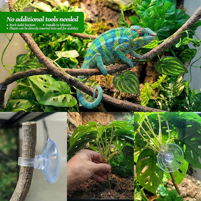 5 Pcs Reptile Plants & Habitat Decor Kit - 3 Artificial Plants & Large 5ft Jungle Vine Branch, Amphibian Habitat Hideout Tank Decorations fit Crested Gecko Leopard Lizard Chameleon Ball Python Frog