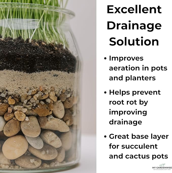 Fine Sand for Plants – Horticultural Sand for Succulents, Cactus, Potting Mixes, Terrariums & Decorative Indoor Gardens, Made in USA (1 Quart - 2.8 lbs)