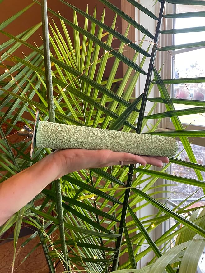 Polly's Pastels Nail Trimming & Beak Conditioning Safety Perch for Cockatiels, Cockatoos, Macaws, Parakeets, Budgies, Parrots and All Other Birds (Green, Large-1 1/2