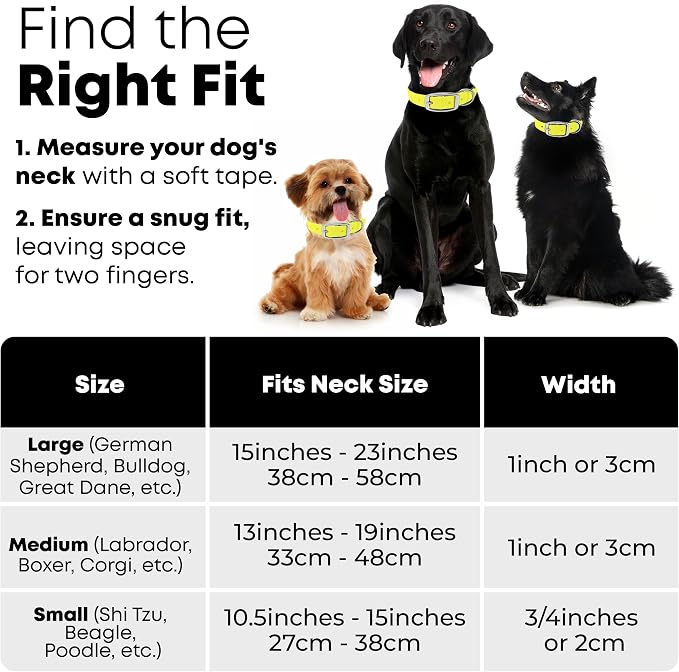 Regal Dog Products Medium Yellow Dog Collar with Heavy Duty Double Buckle & D Ring | Vinyl Coated, Custom Fit, Adjustable Biothane Dog Collar Chew Resistant Waterproof Collar for Dogs