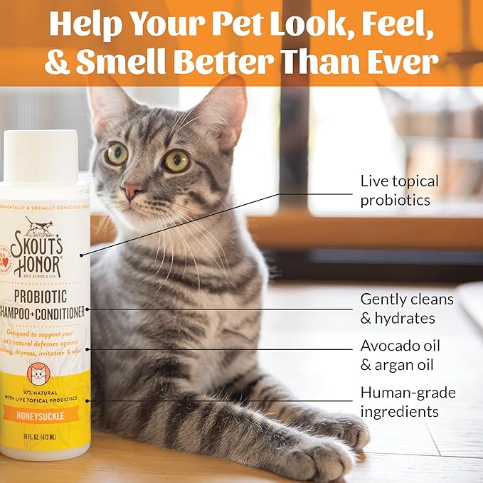 SKOUT'S HONOR Probiotic Cat Shampoo & Conditioner with Avocado Oil & Omega-3s, 97% Natural, Paraben & Sulfate-Free, Cruelty-Free, Defend Against Itch, Dryness, Irritation, 16oz, Honeysuckle