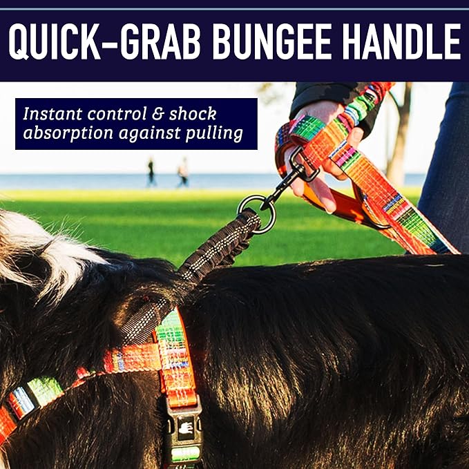 Leash Boss No Pull Dog Harness, Easy Walk for Small, Medium, and Large Pets, Reflective with Rear and Front Clip Attachment (Wave Pattern, Large)